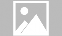 毛驴配马视频播放,一场别开生面的跨界视频盛宴