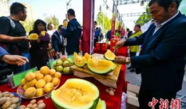 吃瓜最新事件爆料贵州,吃瓜群众揭秘神秘事件真相！