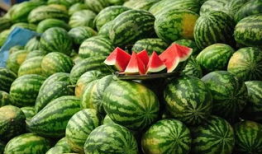 新沂吃瓜最新事件爆料,揭秘背后惊人真相